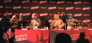 MC101212-Vidcap-Turtles